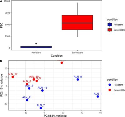 Identification of Regulatory Functions of LncRNAs Associated With T. circumcincta Infection in Adult Sheep